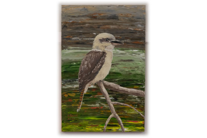 Kookaburra