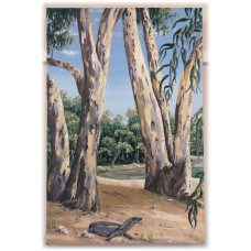 Goanna