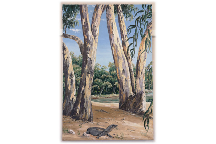 Goanna