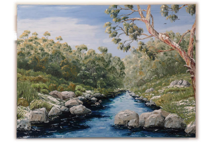 Thredbo River