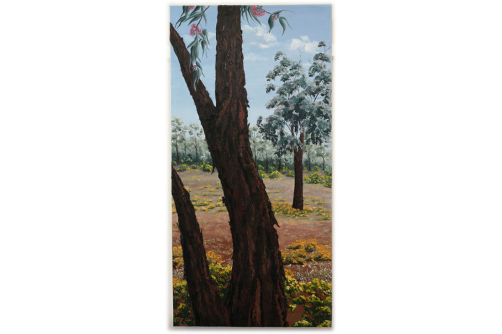 Ironbark