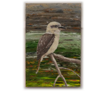 Kookaburra