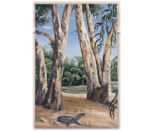 Goanna