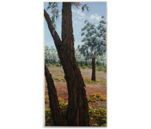 Ironbark